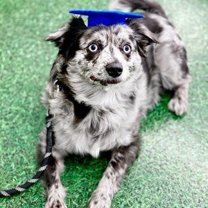 Meet your Posher, Raymond